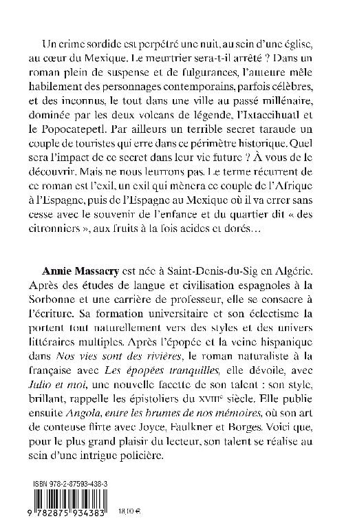 À l’ombre des volcans - roman